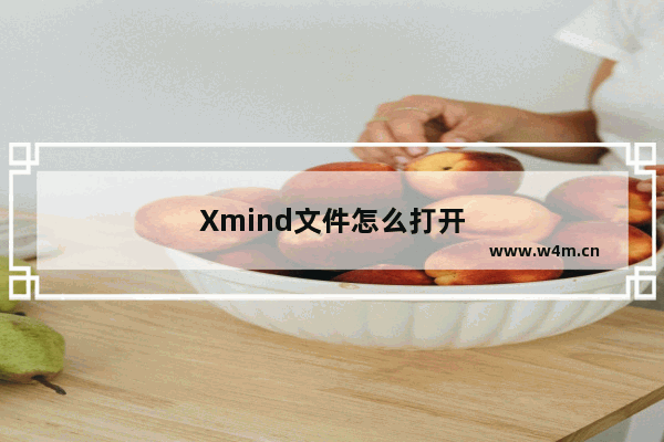 Xmind文件怎么打开