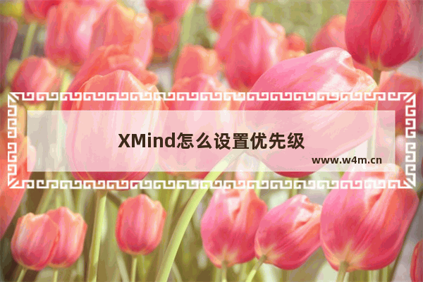 XMind怎么设置优先级