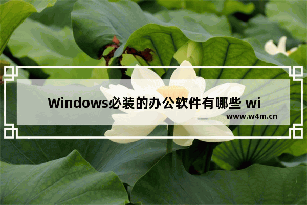 Windows必装的办公软件有哪些 win10安装什么办公软件好