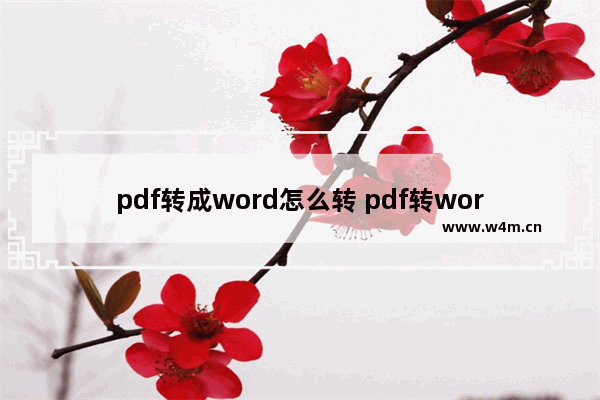 pdf转成word怎么转 pdf转word方法