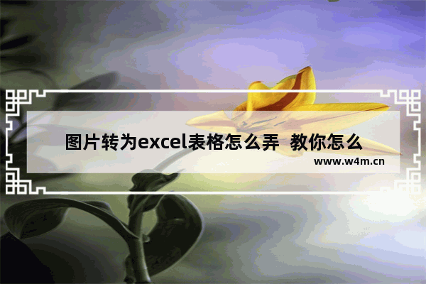 图片转为excel表格怎么弄  教你怎么转换表格