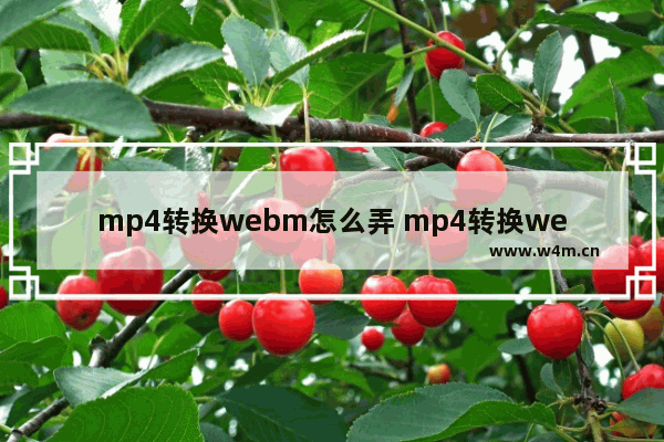 mp4转换webm怎么弄 mp4转换webm的软件