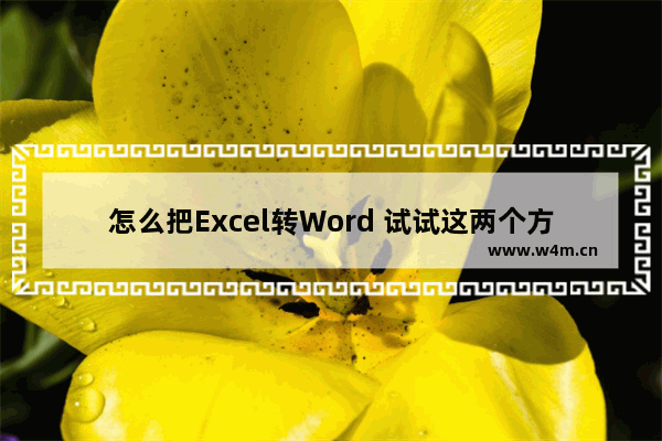 怎么把Excel转Word 试试这两个方法