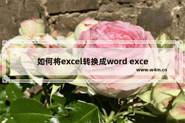 如何将excel转换成word excel转换成word教程