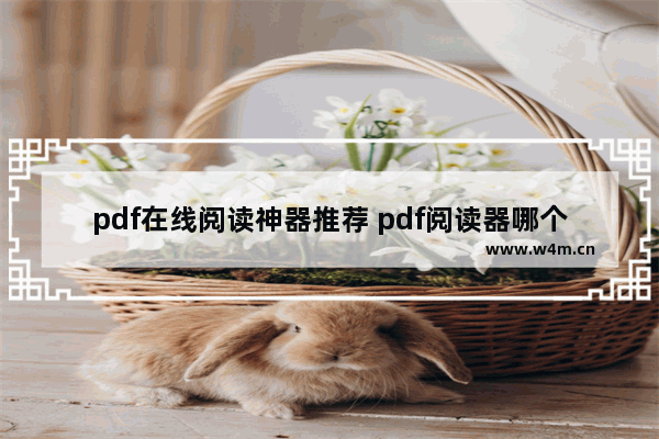 pdf在线阅读神器推荐 pdf阅读器哪个好用