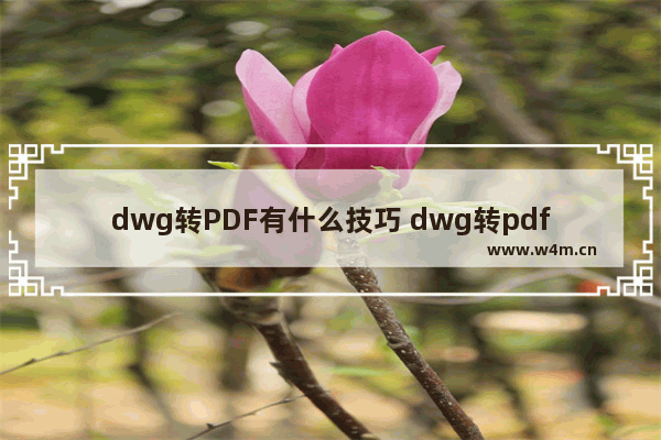 dwg转PDF有什么技巧 dwg转pdf最简单方法