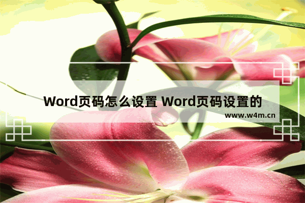 Word页码怎么设置 Word页码设置的技巧