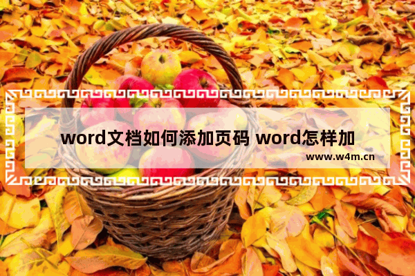 word文档如何添加页码 word怎样加页码