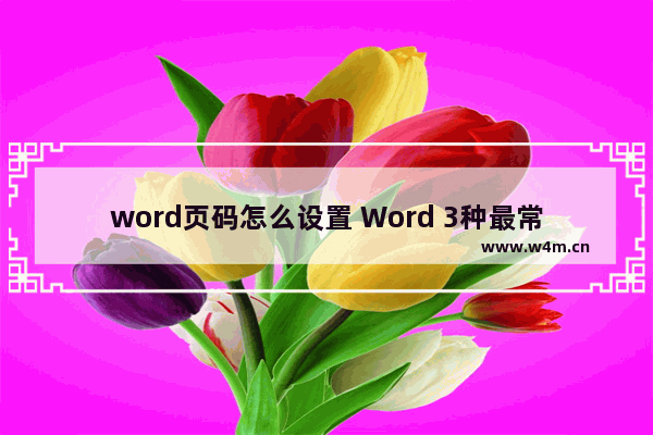 word页码怎么设置 Word 3种最常见的页码设置技巧