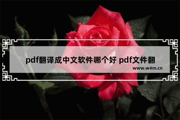 pdf翻译成中文软件哪个好 pdf文件翻译用什么软件