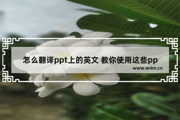 怎么翻译ppt上的英文 教你使用这些ppt翻译软件