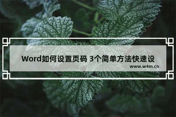 Word如何设置页码 3个简单方法快速设置