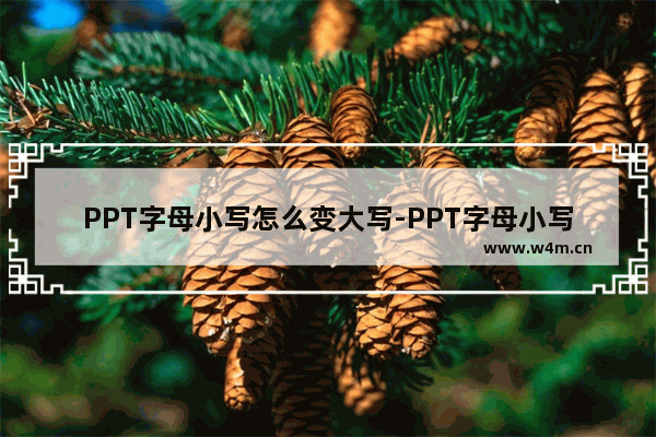 PPT字母小写怎么变大写-PPT字母小写变大写的方法