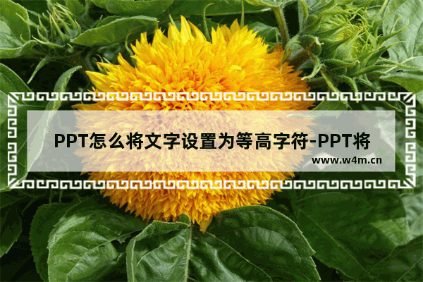 PPT怎么将文字设置为等高字符-PPT将文字设置为等高字符的方法