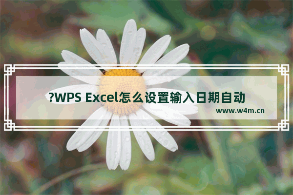 ?WPS Excel怎么设置输入日期自动变成想要的格式-WPS表格设置输入日期自动变为指定格式的方法教程