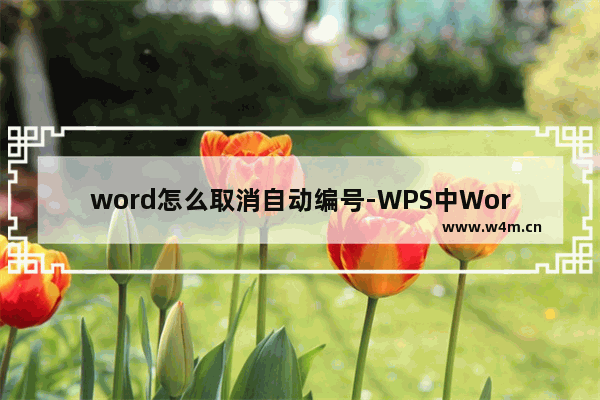 word怎么取消自动编号-WPS中Word文档取消自动生成标题行的方法