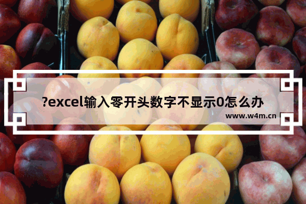 ?excel输入零开头数字不显示0怎么办-excel输入零开头数字成功保留0的设置方法