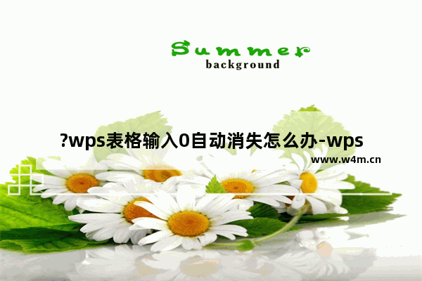 ?wps表格输入0自动消失怎么办-wps表格输入0之后显示不出来的解决方法