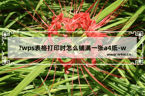 ?wps表格打印时怎么铺满一张a4纸-wps表格打印时铺满整个a4的方法