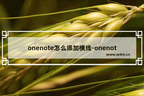 onenote怎么添加横线-onenote批量添加横线的方法