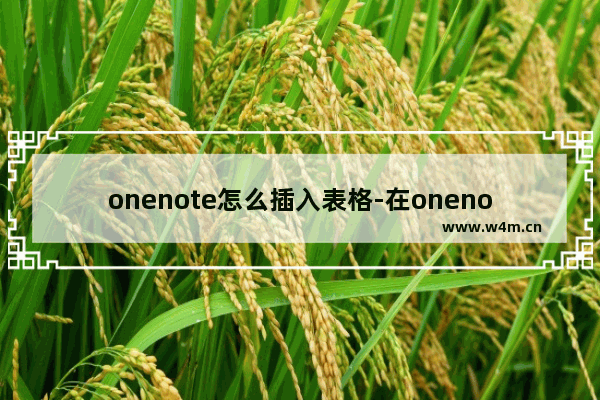 onenote怎么插入表格-在onenote中插入一个表格的方法