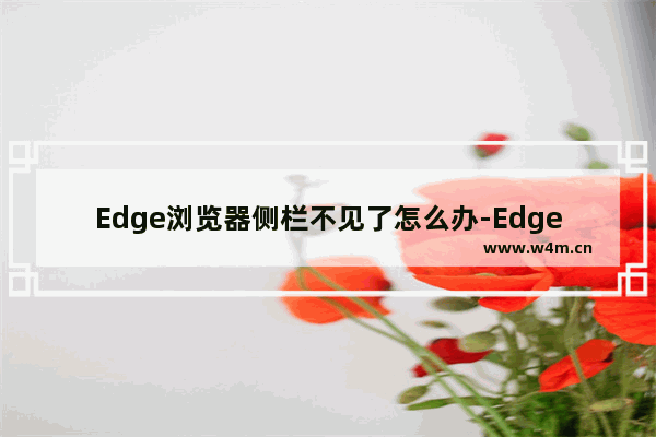 Edge浏览器侧栏不见了怎么办-Edge浏览器开启侧栏的方法