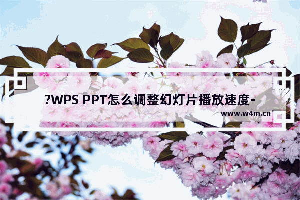 ?WPS PPT怎么调整幻灯片播放速度-WPS演示文稿中调整自动换片时间间隔的方法教程