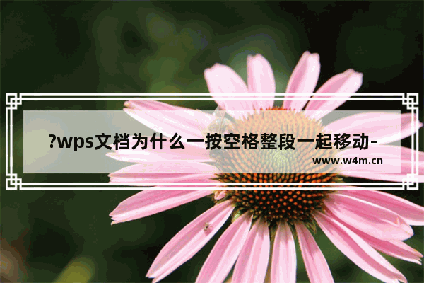 ?wps文档为什么一按空格整段一起移动-?wps文档取消一按空格整段一起移动的方法