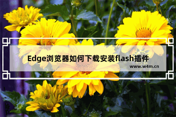 Edge浏览器如何下载安装flash插件-Edge浏览器下载安装flash插件的方法