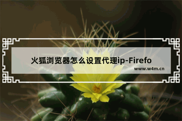 火狐浏览器怎么设置代理ip-Firefox浏览器设置代理ip的方法