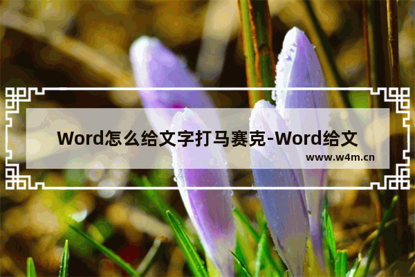 Word怎么给文字打马赛克-Word给文字打马赛克的方法