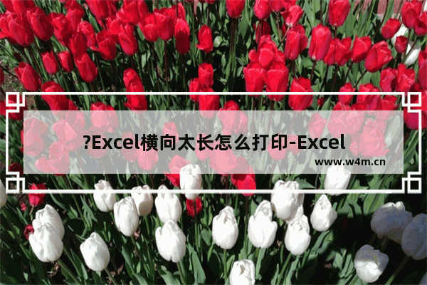 ?Excel横向太长怎么打印-Excel表格打印时将所有列调整为一页的方法教程