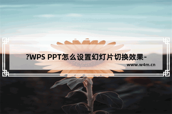 ?WPS PPT怎么设置幻灯片切换效果-WPS演示文稿中设置幻灯片切换效果的方法教程