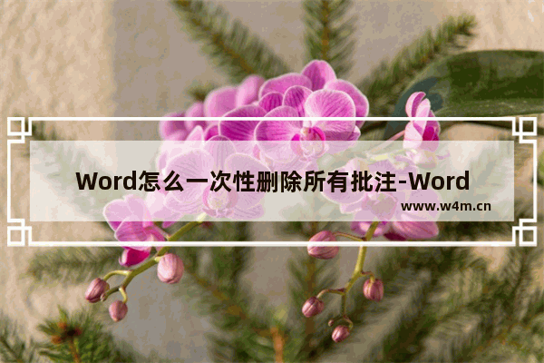 Word怎么一次性删除所有批注-Word一次性删除所有批注的方法