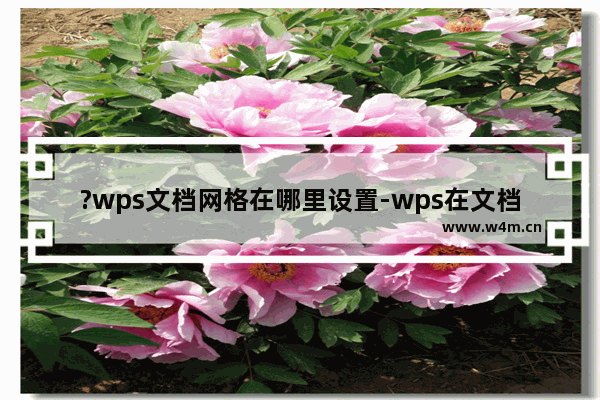 ?wps文档网格在哪里设置-wps在文档页面上显示出网格线的方法