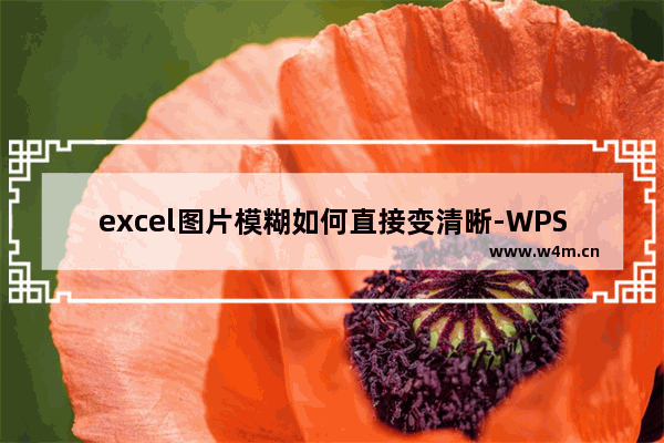 excel图片模糊如何直接变清晰-WPS Excel调整表格中图片清晰度的方法