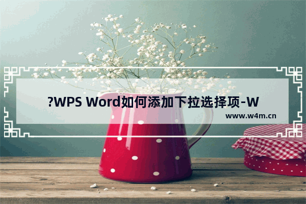 ?WPS Word如何添加下拉选择项-WPS文档中设置下拉选项的方法教程