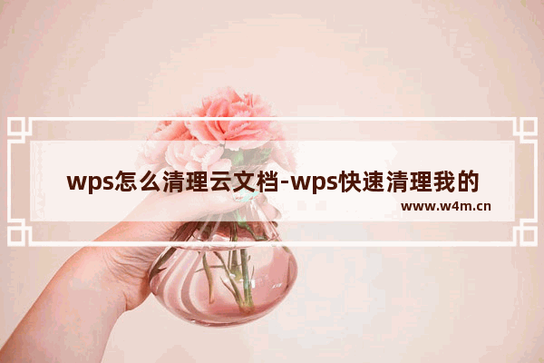 wps怎么清理云文档-wps快速清理我的云文档空间的方法