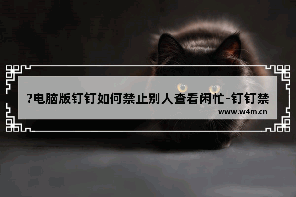 ?电脑版钉钉如何禁止别人查看闲忙-钉钉禁止同事查看闲忙消息的方法