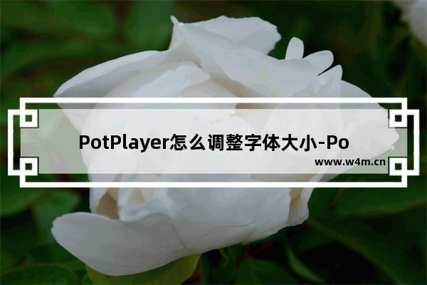 PotPlayer怎么调整字体大小-PotPlayer调整字体大小的方法