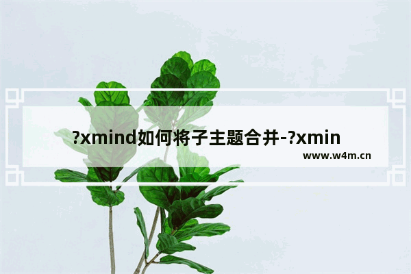 ?xmind如何将子主题合并-?xmind把几个子主题合并在一起的方法