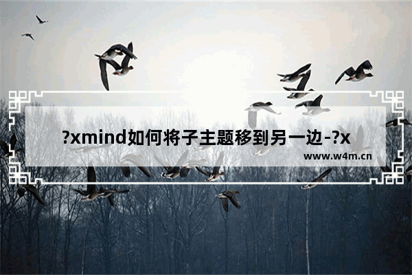 ?xmind如何将子主题移到另一边-?xmind将右边的子主题移动到左边的方法