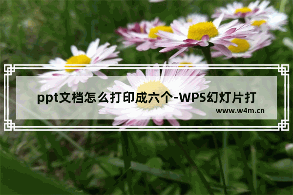 ppt文档怎么打印成六个-WPS幻灯片打印成一页6个的设置方法