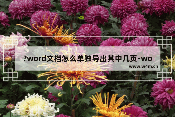 ?word文档怎么单独导出其中几页-word文档提取部分页面内容的方法