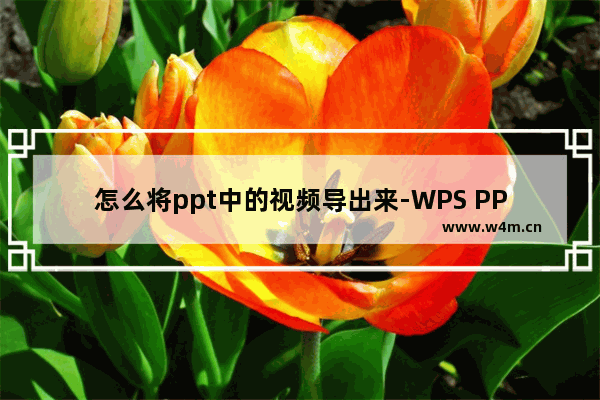 怎么将ppt中的视频导出来-WPS PPT导出视频的方法