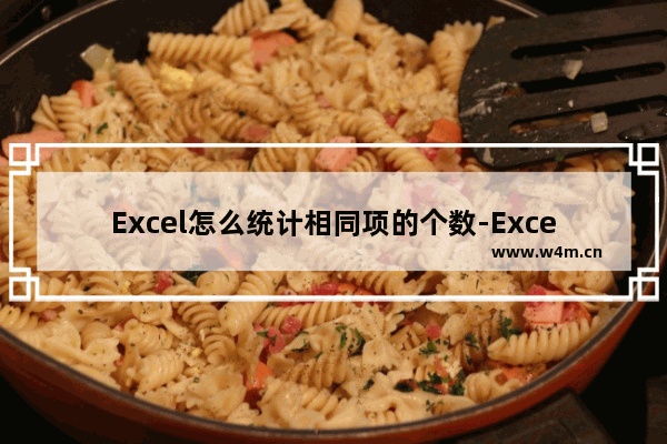 Excel怎么统计相同项的个数-Excel统计相同项的个数的方法