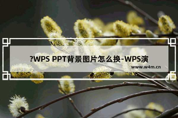 ?WPS PPT背景图片怎么换-WPS演示文稿中更改背景图片的方法教程