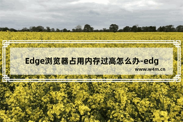 Edge浏览器占用内存过高怎么办-edge浏览器占用内存过高的解决方法