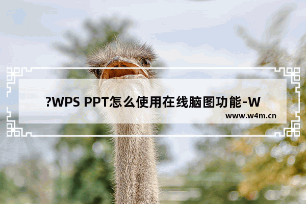 ?WPS PPT怎么使用在线脑图功能-WPS演示文稿中插入在线脑图思维导图的方法教程