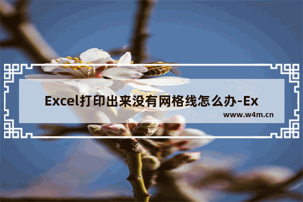 Excel打印出来没有网格线怎么办-Excel打印出来没有网格线的解决方法